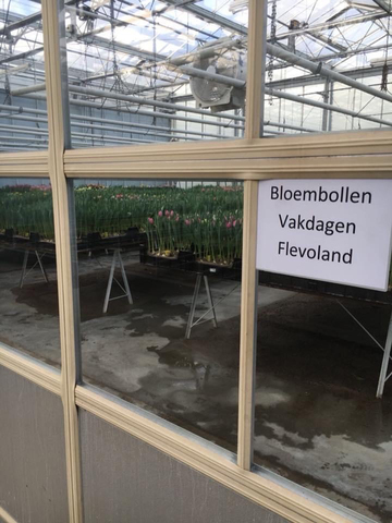 afbeelding 13