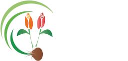 Bloembollen Vakdagen Flevoland